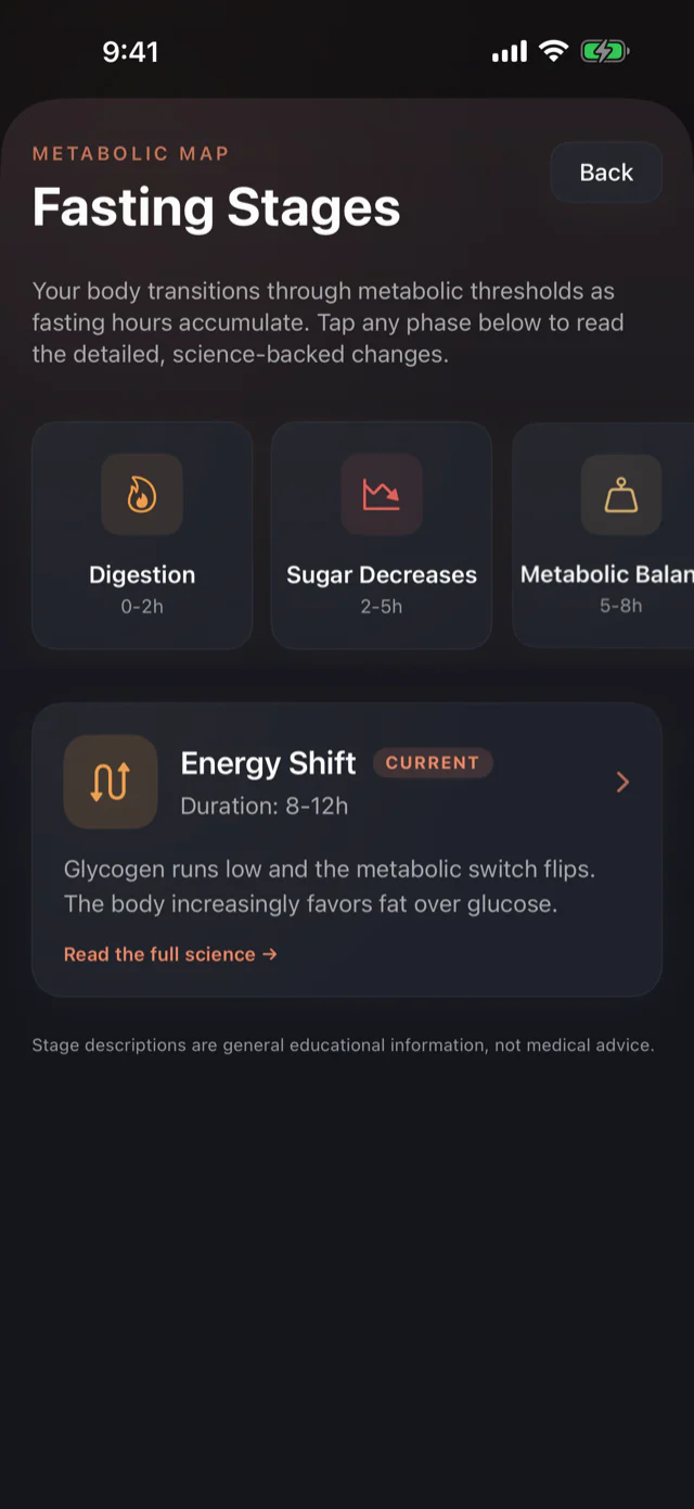 Metabolic map showing fasting stages from digestion to energy shift